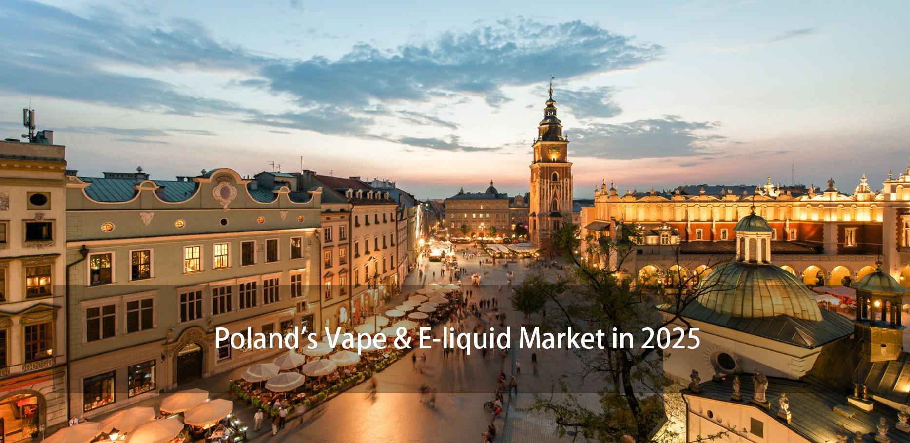 Disposable vapes Poland market, Polish e-cigarette market trends, giant disposable vapes in Poland - Poland Vape Market 2025: Trends & Analysis | YTOO E-Liquid ...