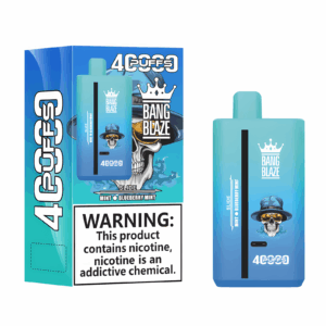 Online Vape 40K 2 in 1 Bang Blaze 40000 Puffs Dual MintBlueberry- Mint