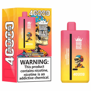 Online Vape 40K 2 in 1 Bang Blaze 40000 Puffs Dual MintBlueberry- Mint