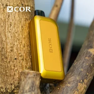 XCOR DUBAI NIGHT 28000 PUFFS