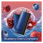 Xcor hawaii pro 23000 puffs-blueberry cherry cranberry