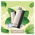 Xcor hawaii pro 23000 puffs-cool mint