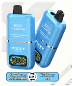 Prezentacja techniczna FIZZY TWINS DWUSMAKOWE 50000 PUFFS.