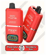 FIZZY TWINS DWUSMAKOWE 50000 PUFFS ze wskaźnikiem poziomu płynu.
