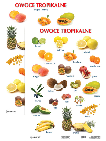 egzotyczne owoce mrożone, mango guawa brzoskwinia lód, letnie orzeźwienie, tropikalne owoce, Summer Dream wizualizacja - Plansza: Owoce tropikalne | Grupa Wydawnicza Harmonia
