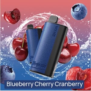 ładowanie USB-C vape, Xcor Hawaii Pro bateria, szybkie ładowanie e-papieros, port USB-C e-papieros, smukły vape ładowanie - Xcor Hawaii Pro 23000 Puffs Jednorazowy Vape - VapeDream