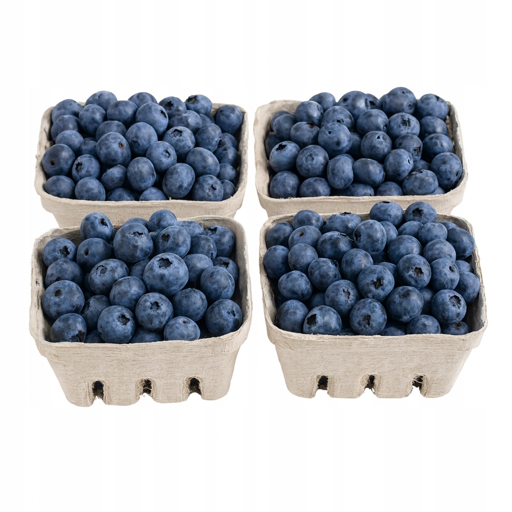 borówka leśna na lodzie, świeże jagody szron, mrożone owoce leśne, smak e-papierosa Blueberry On Ice - Jagoda leśna mrożone owoce premium 5kg • Cena, Opinie - Allegro