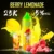 Berry Lemonade