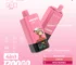 Airmez Fox 4in1,e-papieros jednorazowy 120000,vape 4 smaki,Airmez cena,opłacalne e-papierosy,vape 60ml,Airmez Fox recenzja,e-papieros z Polski,najlepsze jednorazówki,vape z dostawą 24h