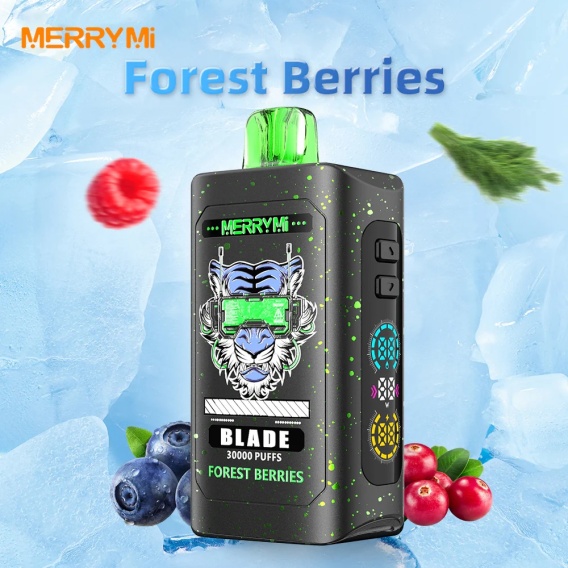 Merry Mi Blade smukły kształt, cienki e-papieros, vape w kieszeni, ergonomiczny design e-papierosa, kompaktowy vape przenośny - Merry Mi Blade Jednorazowy e-papieros 30000 Buchów o smaku ...