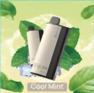 Wysokiej jakości zdjęcie produktu Xcor Hawaii Pro 23000, prezentujące jego minimalistyczny i dyskretny design.